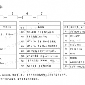 BM1系列（美標(biāo)）馬達