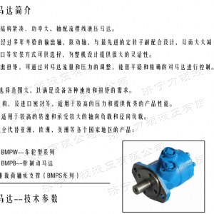 BM1系列（歐標(biāo)）馬達