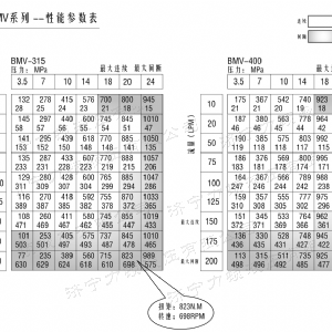 BMV車(chē)輪系列馬達(dá)