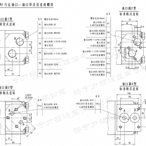 BMV車(chē)輪系列馬達(dá)