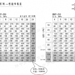 BMT車(chē)輪系列馬達(dá)